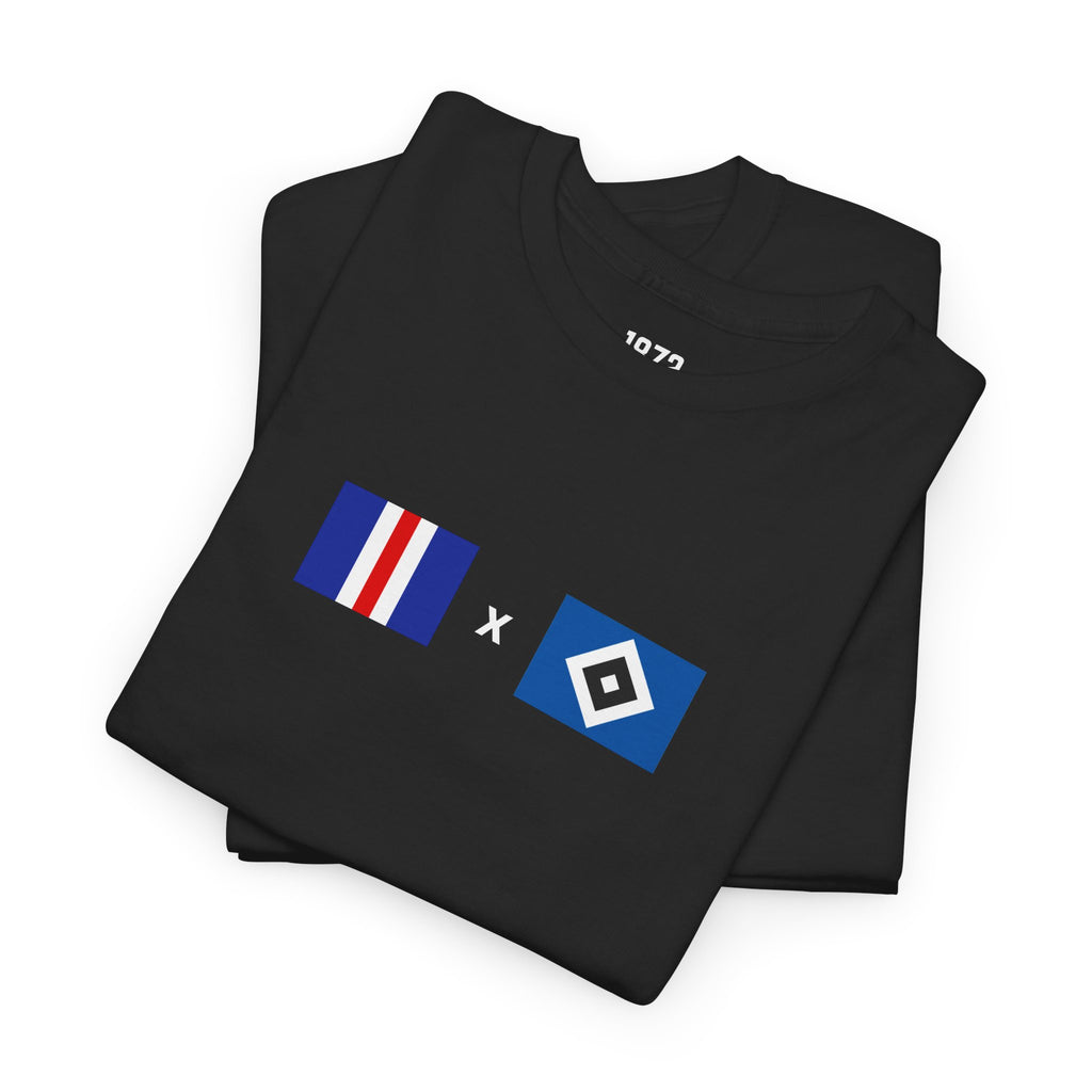 RFC X HSV